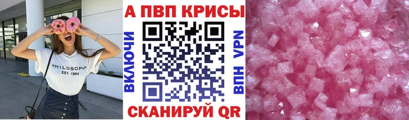 A PVP СК  Светлогорск 