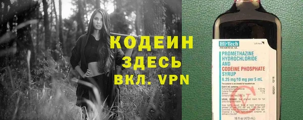 spice Богданович