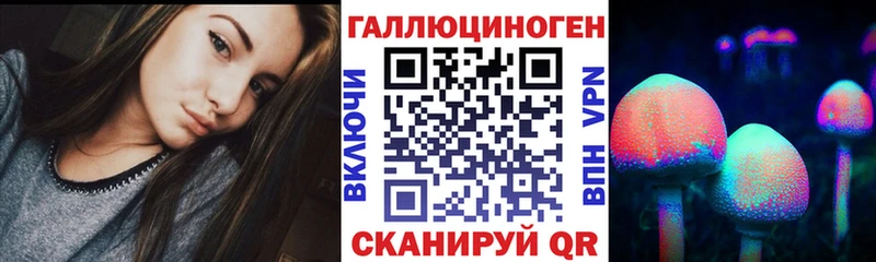 что такое наркотик  Светлогорск  hydra рабочий сайт  Галлюциногенные грибы Psilocybine cubensis 