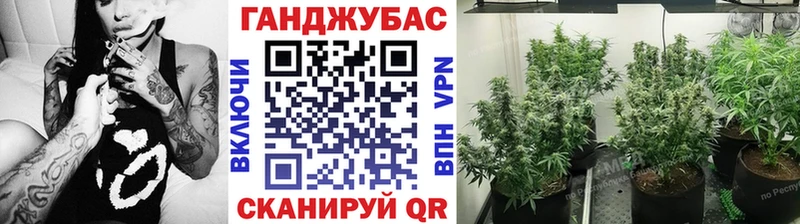 OMG как зайти  Светлогорск  Каннабис Amnesia 